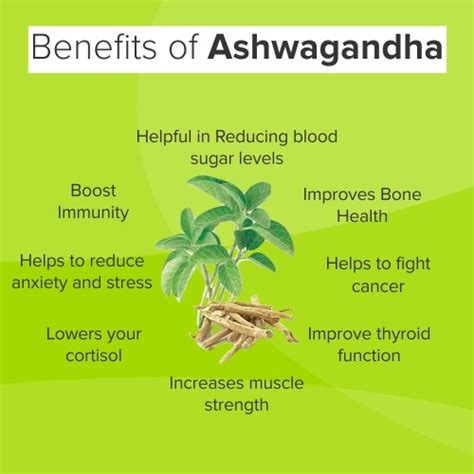 ashwagandha benefits for height|Using Ashwagandha Powder for Height: Potential Effects and .